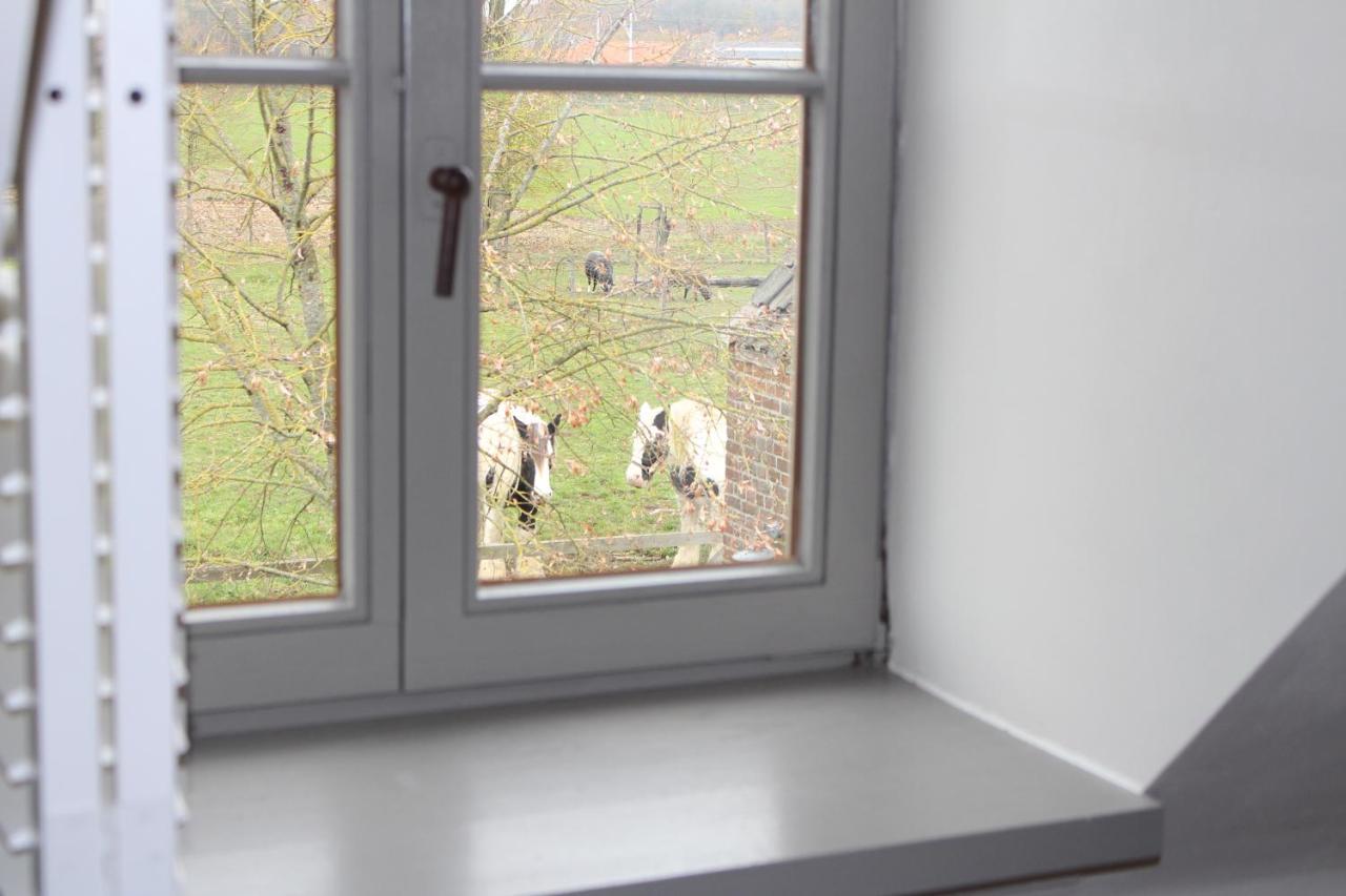B&B Goed Ten Hulle Pittem Экстерьер фото